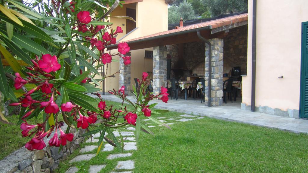 Agriturismo Turlin Vallebona Exterior foto